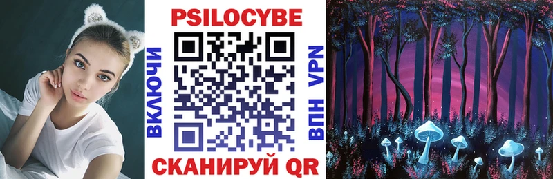 Купить закладки  Никольск  Псилоцибиновые грибы Psilocybe 